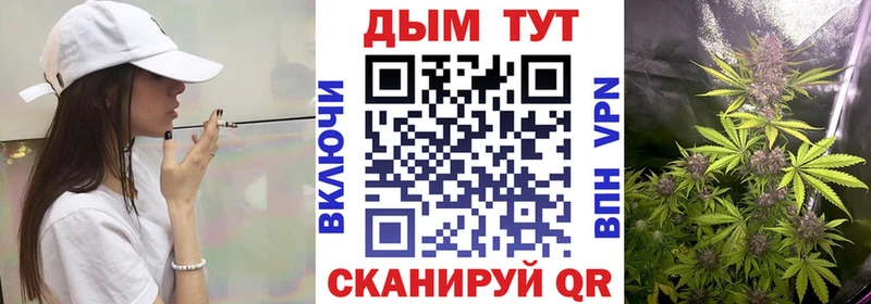 Наркошоп Черноголовка Бошки Шишки  mega сайт  COCAIN  Псилоцибиновые грибы  ГАШИШ  Альфа ПВП  МЕФ 