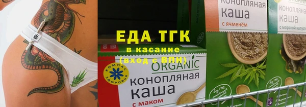 хмурый Алзамай