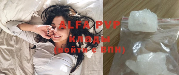 хмурый Алзамай
