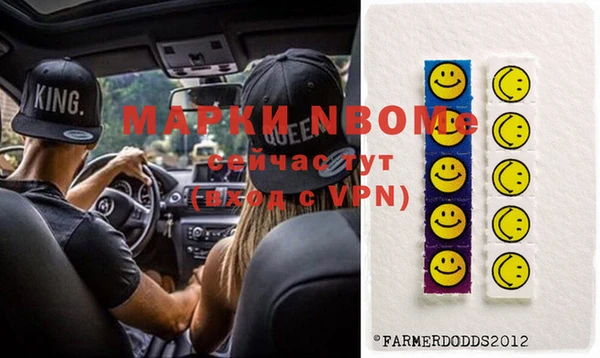 хмурый Алзамай