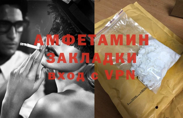 хмурый Алексин