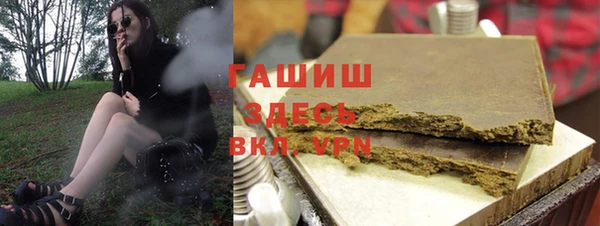 хмурый Алексин